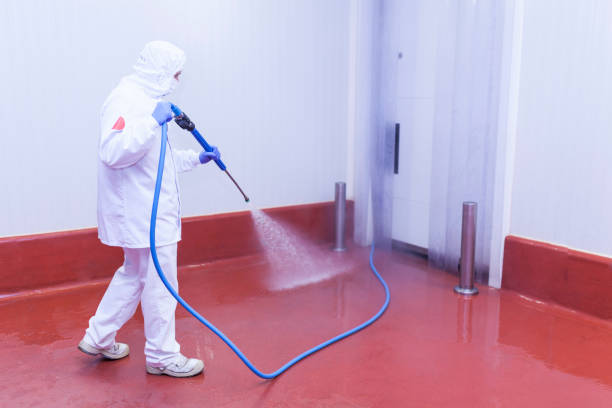 Best Graffiti Removal Services in Ponderay, ID